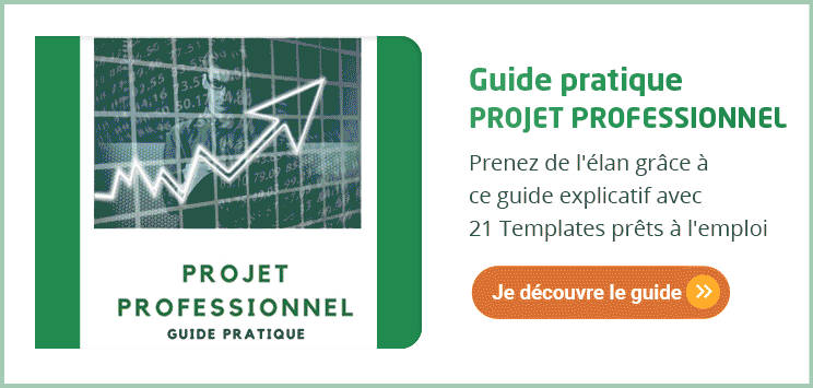 guide pratique projet professionnel