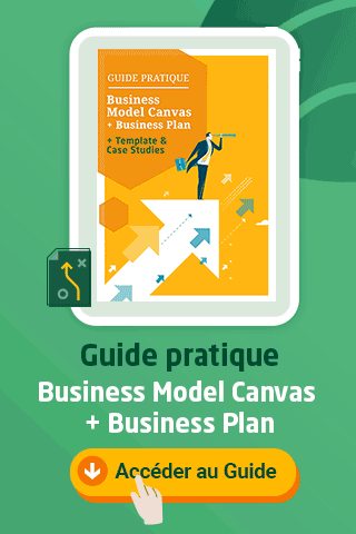 Guide Business Model Canvas