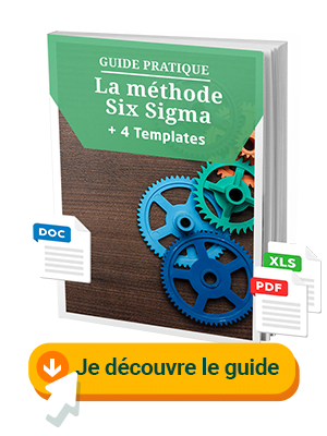 Guide du 6 sigma
