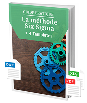 guide pratique de la démarche six sigma