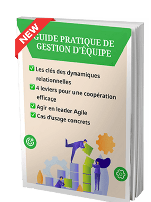 guide gestion équipes transverses guide gestion équipes transverses