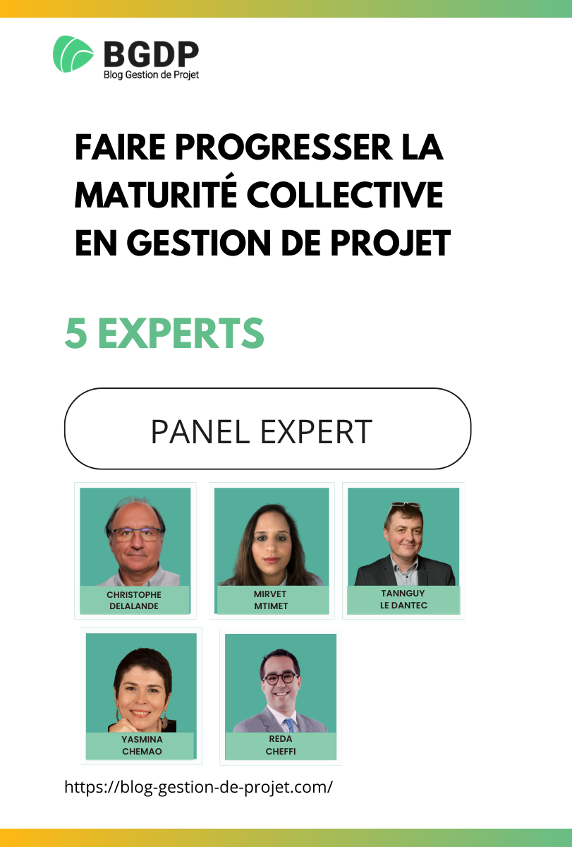 le livre blanc maturité entreprise 5 experts le livre blanc maturité entreprise 5 experts