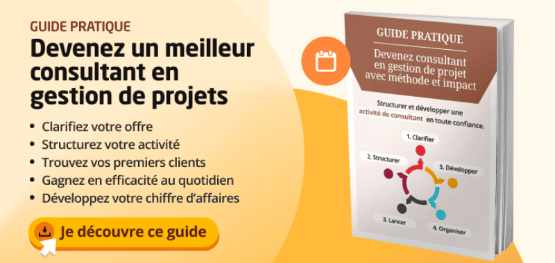 guide consultant chef de projet guide consultant chef de projet