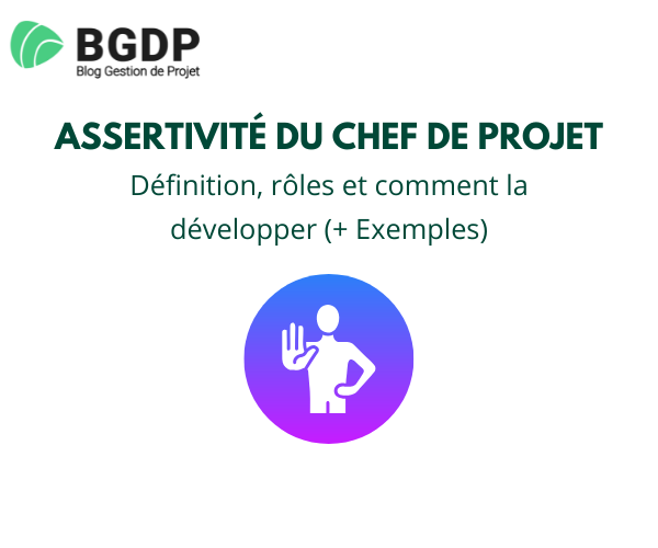 Assertivité du chef de projet