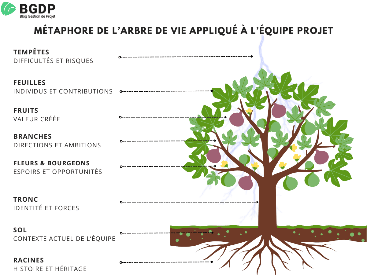 Arbre de vie appliqué à l'équipe projet Arbre de vie appliqué à l'équipe projet