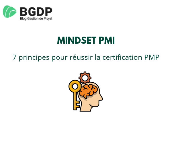 Mindset PMI